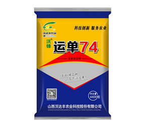 运单74